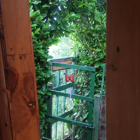 3 Bed Self-catering Cabin In Donegal 펜션 *