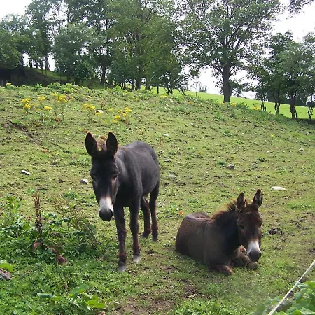 3 Bed Self-catering Cabin In Donegal * Lifford